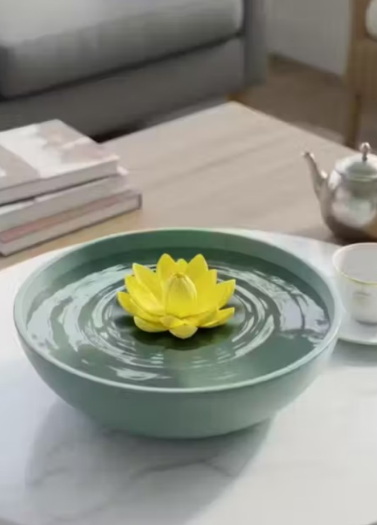 Lotus on table - View 3
